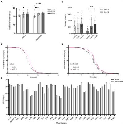 Insights into the genetic influences of the microbiota on the life span of a host